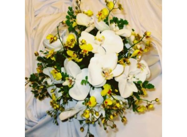 Flores: Buquês de noiva : Buquê de orquídeas e chuva de ouro | Floricultura  Muriel - (11) 4666-3069
