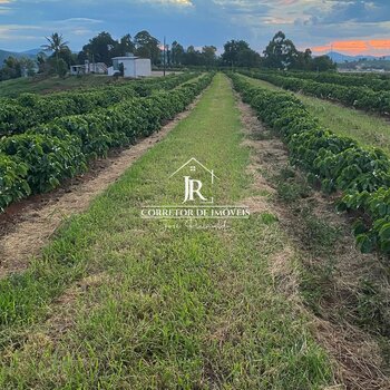 FAZENDA DE CAFÉ À VENDA – PORTEIRA FECHADA