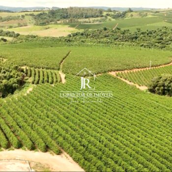 FAZENDA DE CAFÉ À VENDA – SANTO ANTÔNIO DO AMPARO/MG