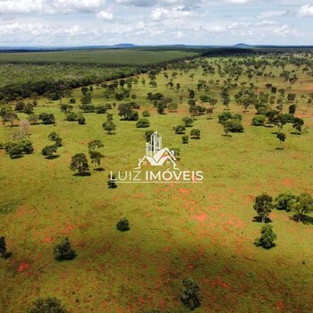 VENDO FAZENDA PECUÁRIA 389,3HECTARES EM BIQUINHAS MG