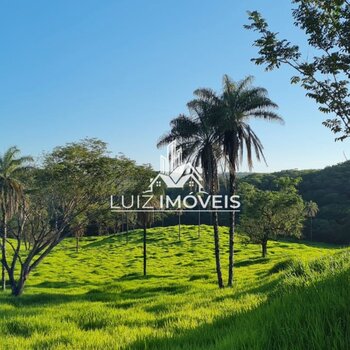 Vendo Fazenda 463hectares São Gonçalo do Abaete MG 