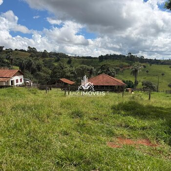 Vendo Sítio 3.66hectares Capelinha do Abaete
