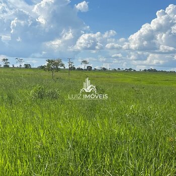 Vendo Fazenda 1100hectares em Brasilandia de Minas MG