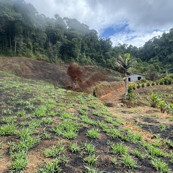 Sítio a venda em Ribeirão do Cristo, próximo a Marechal Floriano - ES